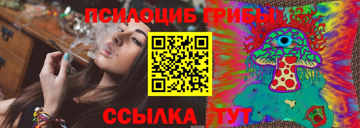 Псилоцибиновые грибы GOLDEN TEACHER Славянск-на-Кубани